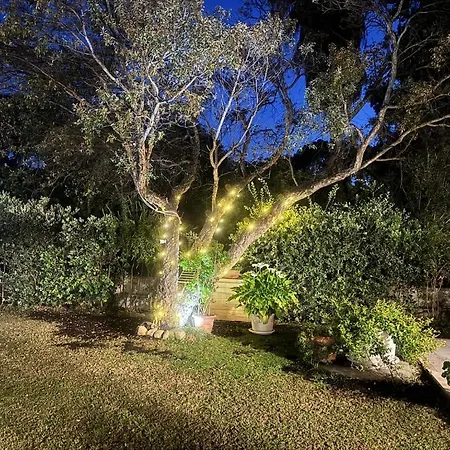 Villa With Garden 1000m To 300m From The Sea In Pula *